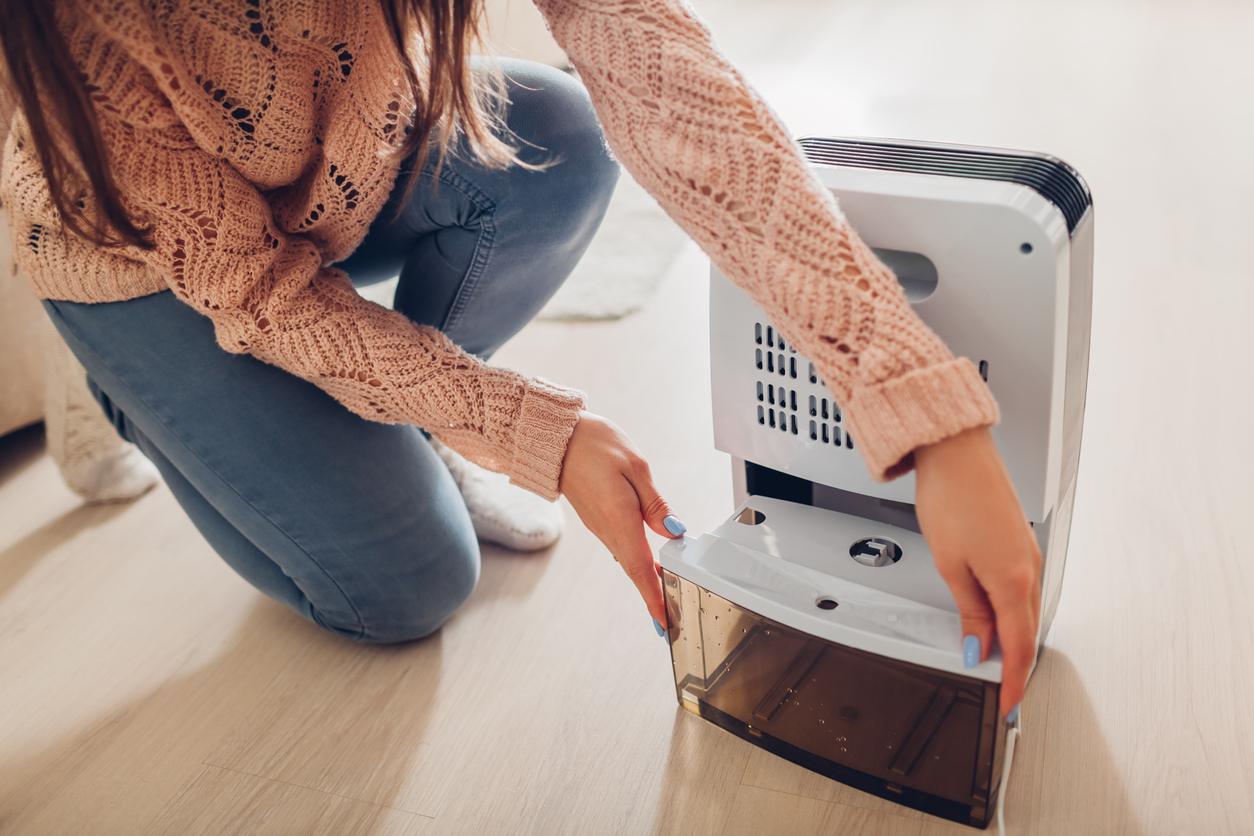 Overhead shot of woman emptying dehumidifier tank