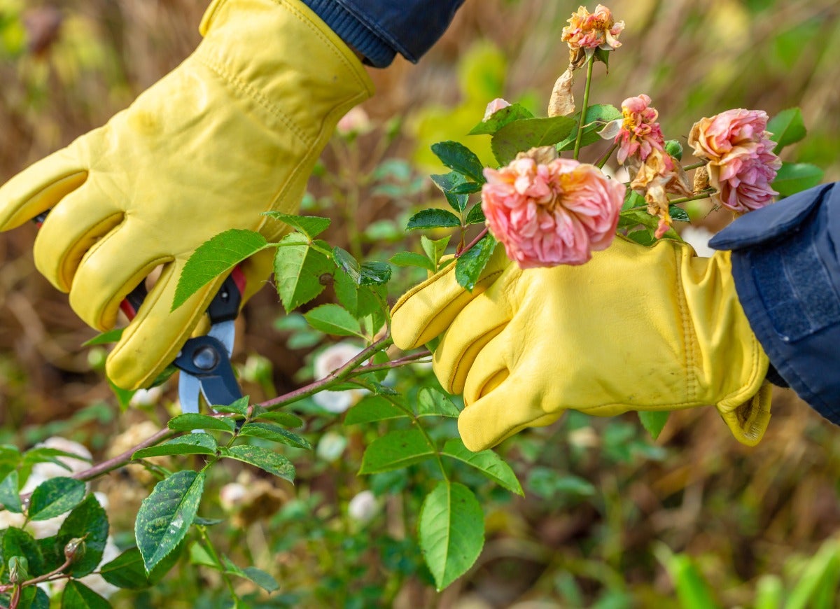 40 Tasks All Homeowners Should Finish Before the First Frost