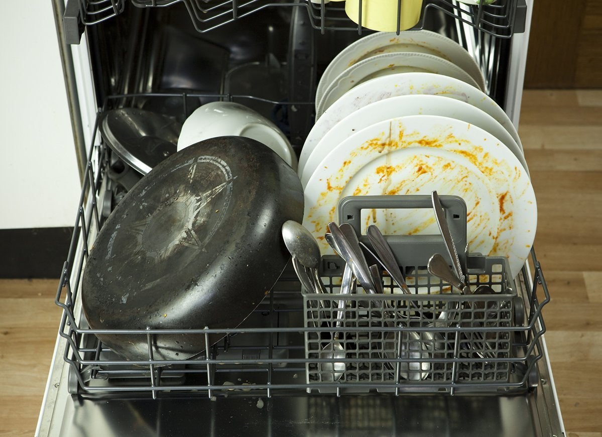 Your Biggest Appliance Questions, Answered