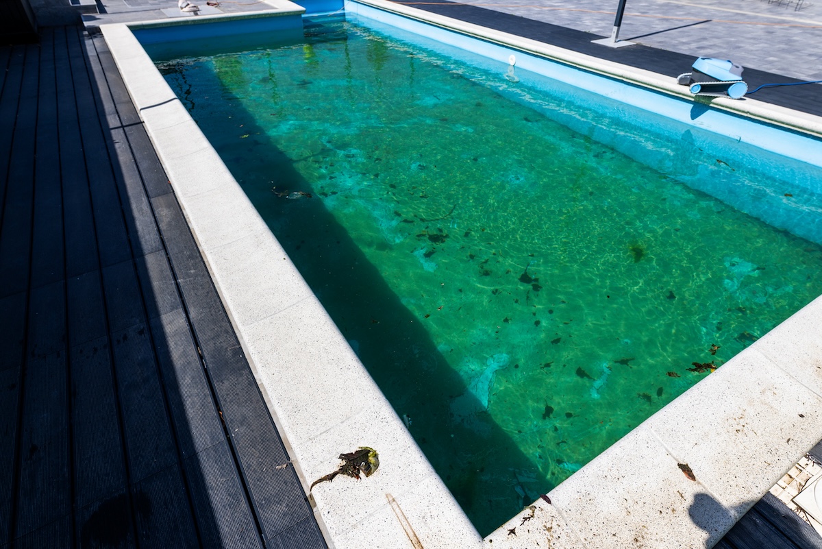 Dirty swimming pool with green water.