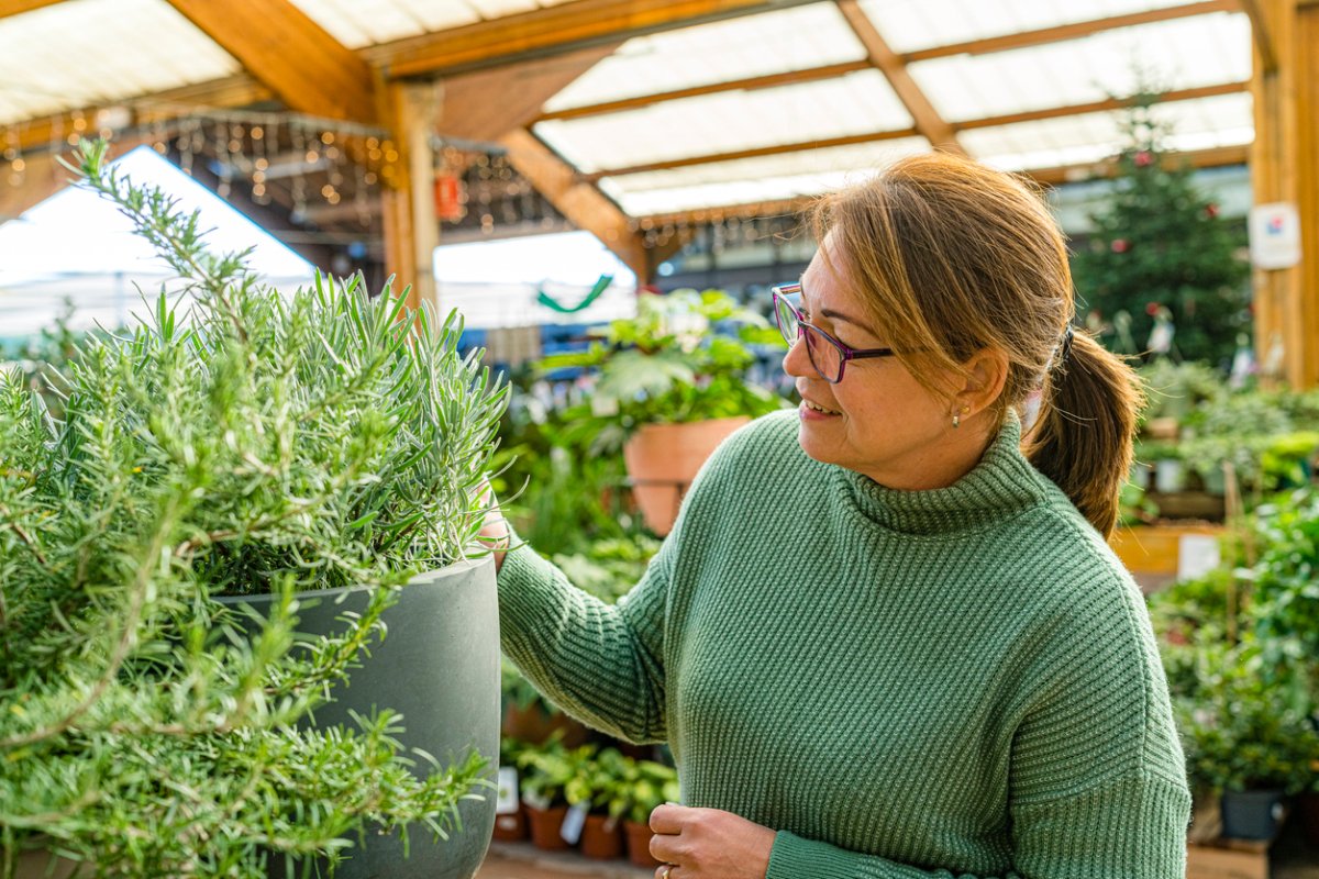 A-woman-wearng-glasses-chooses-from-plants-at-a-nursery.