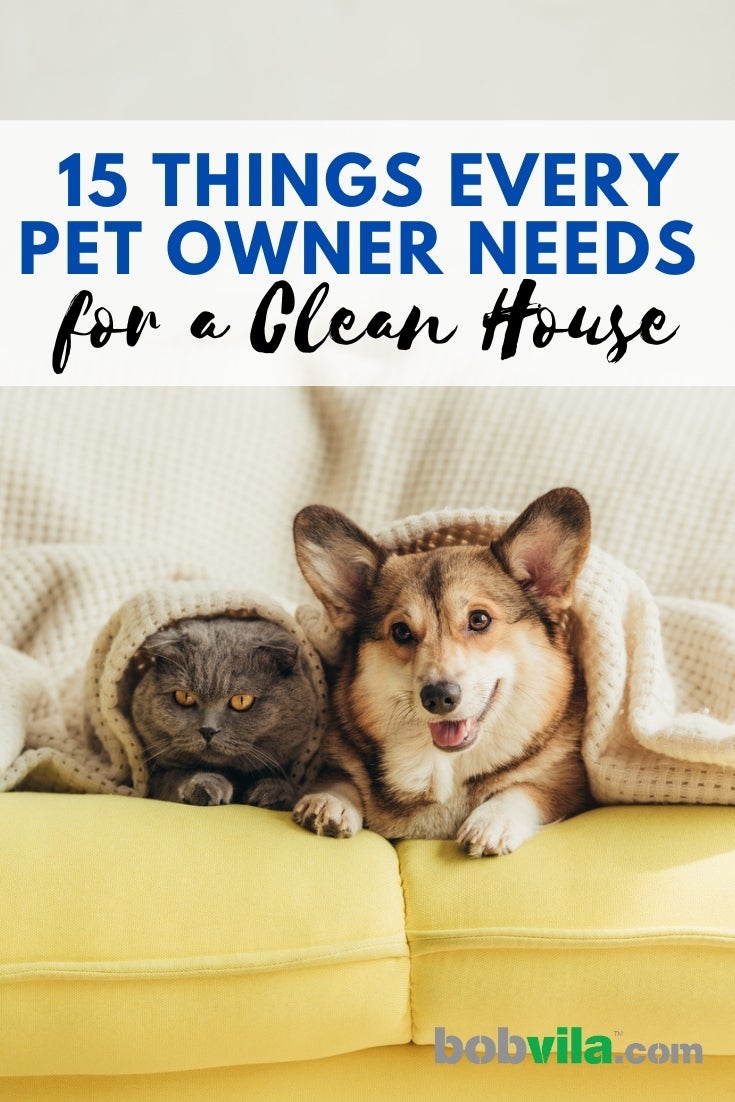 15 Things Every Pet Owner Needs for a Clean House