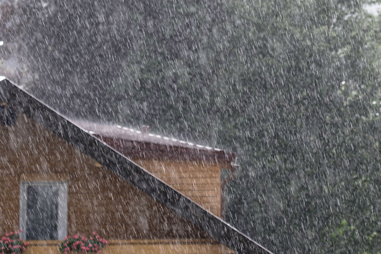 L'assurance habitation couvre-t-elle la moisissure due à une tempête de pluie ? La moisissure n'est pas couverte