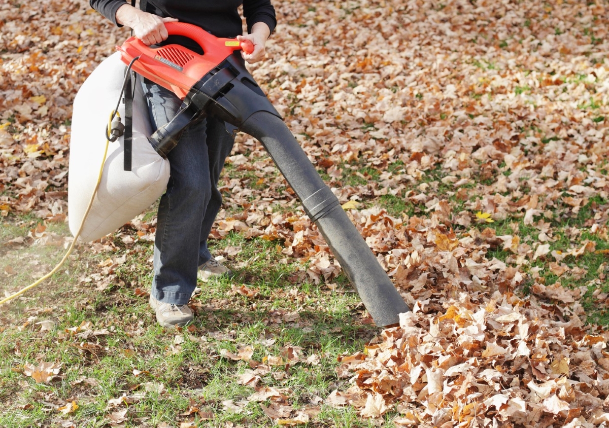 Personne utilisant un aspirateur à feuilles