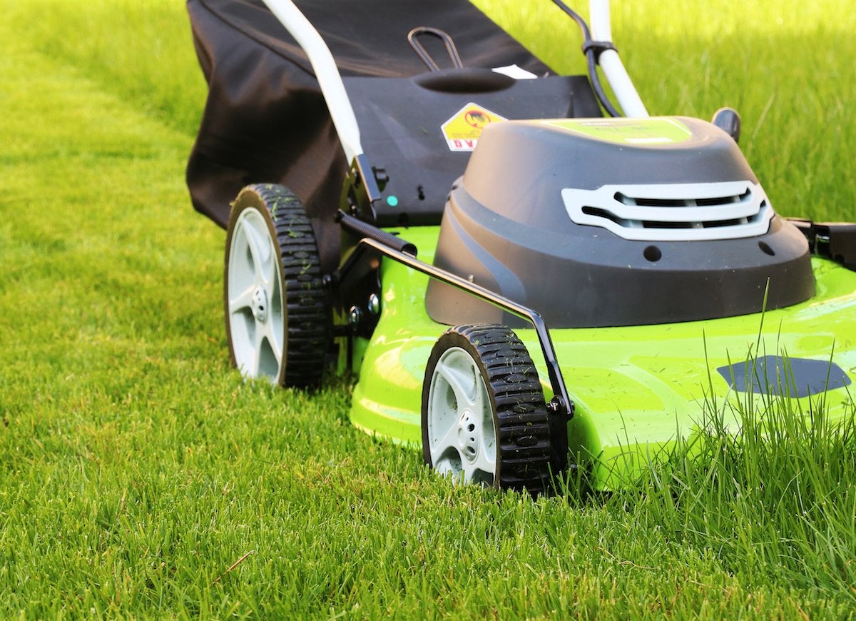 7 Things Your Lawn May Be Trying to Tell You