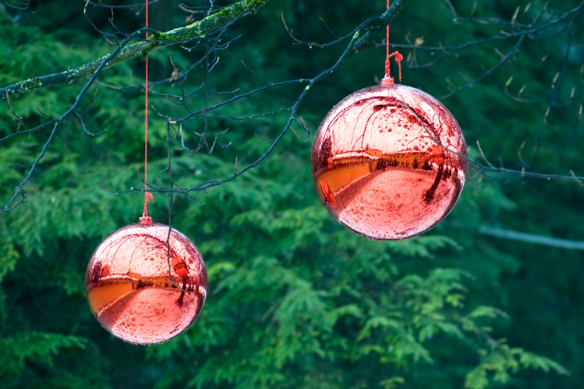 Red gazing balls hanging from tree.