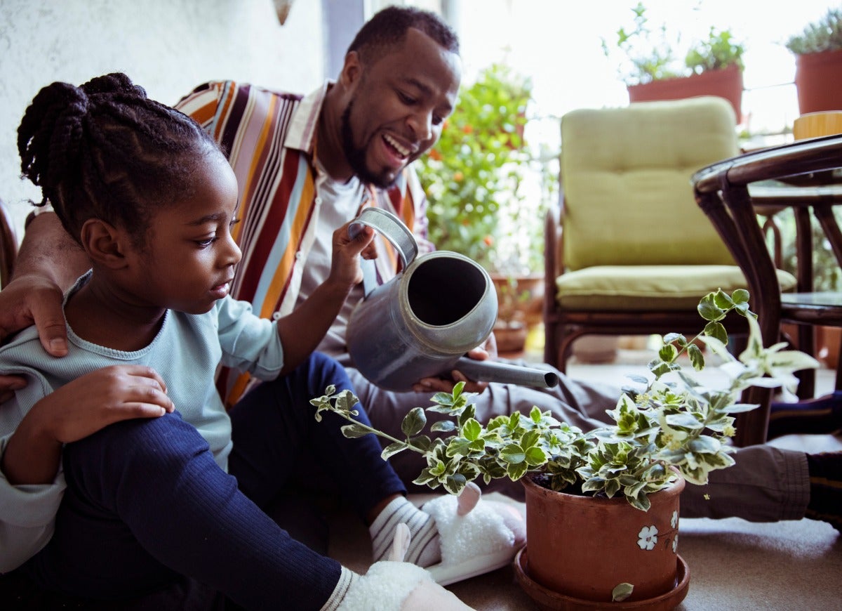 11 Indoor Gardening Projects Absolutely Anyone Can Do