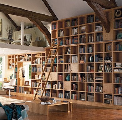 11 “Novel” Ways to Design a Home Library