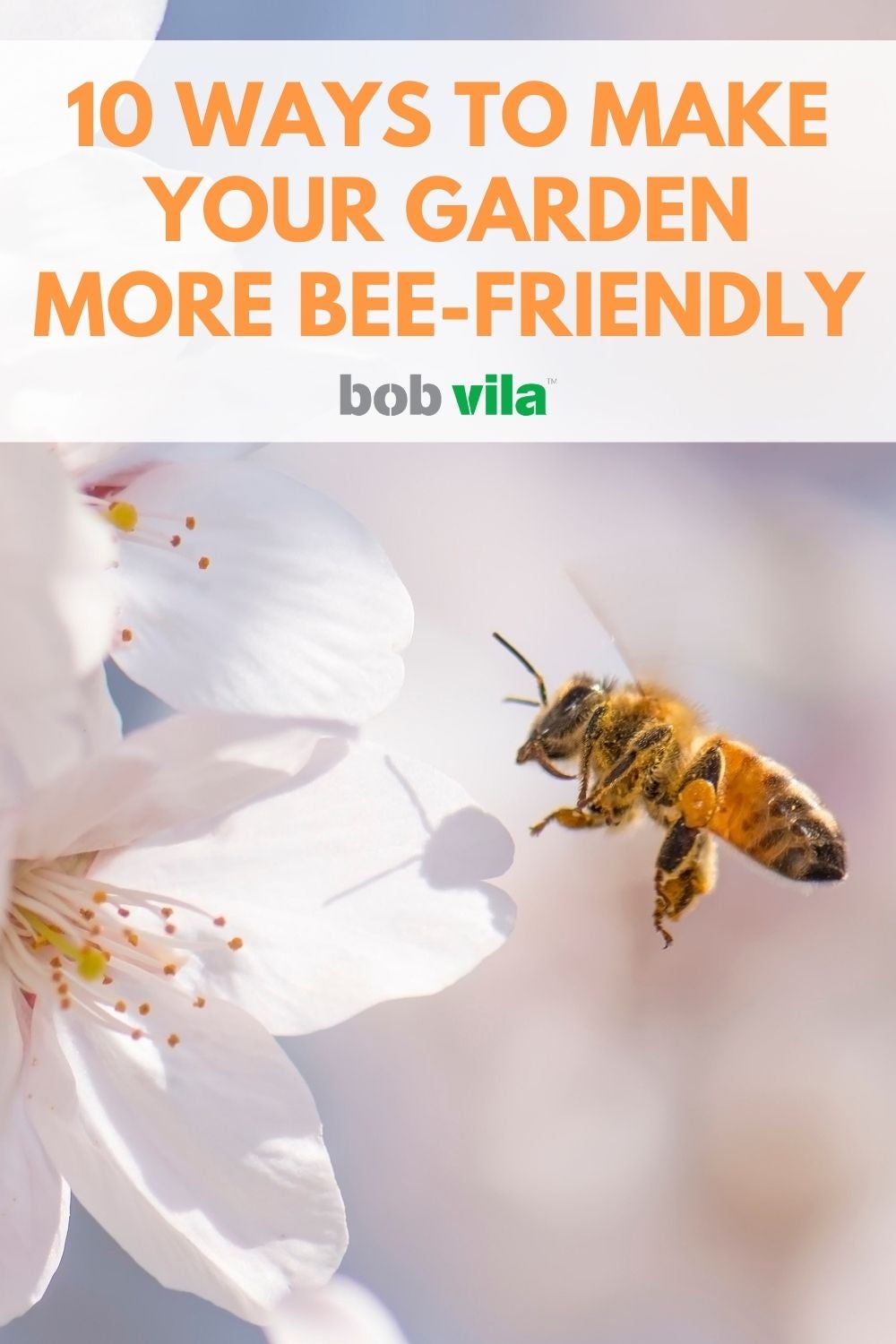 10 Ways to Make Your Garden More Bee-Friendly