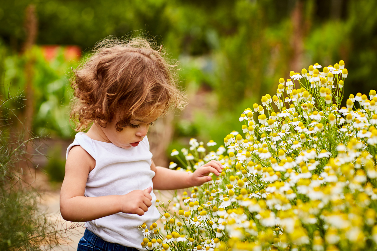 14 Ways to Childproof Your Garden