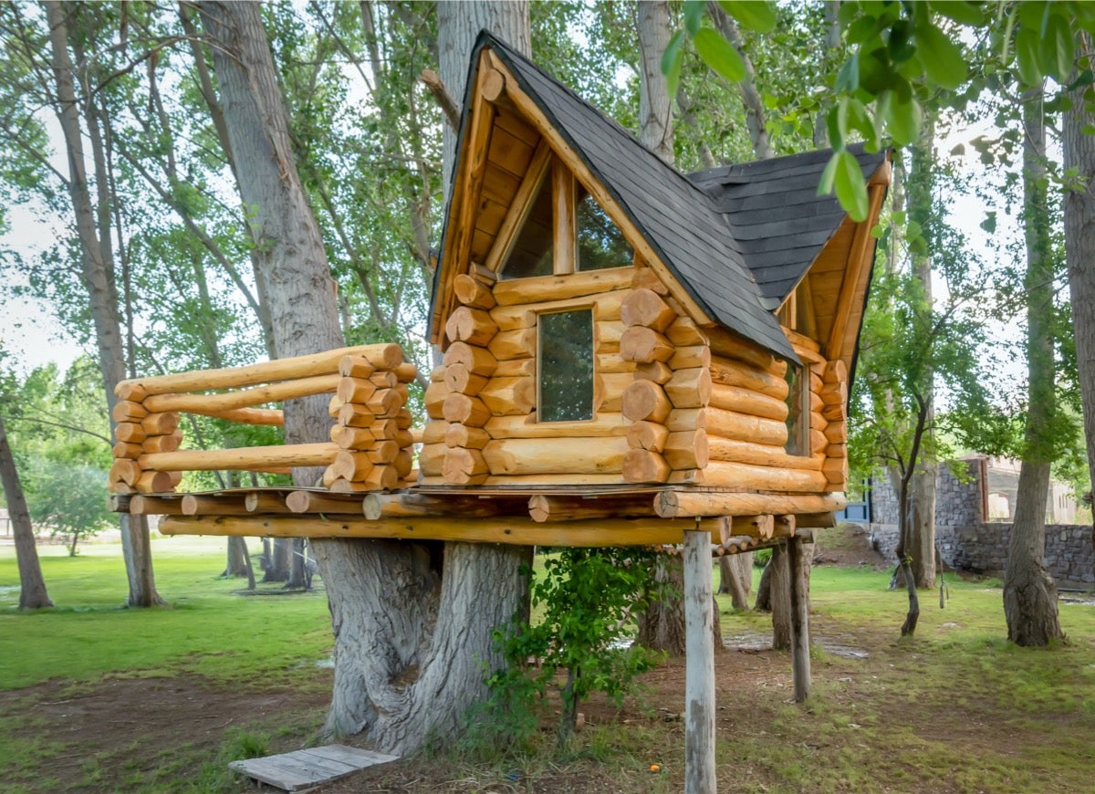 12 Unique Treehouse Ideas for Your Backyard