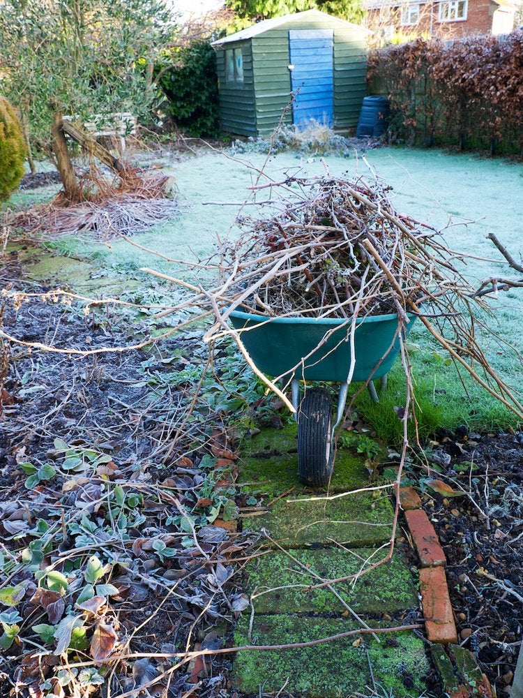 25 façons de profiter de votre jardin cet hiver