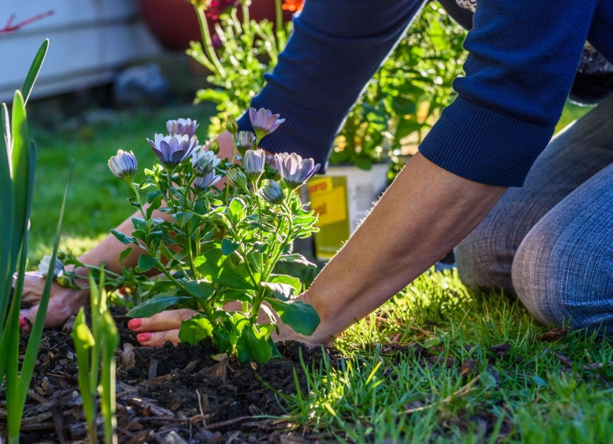 12 Landscaping Mistakes that Pros Have Made and Learned From