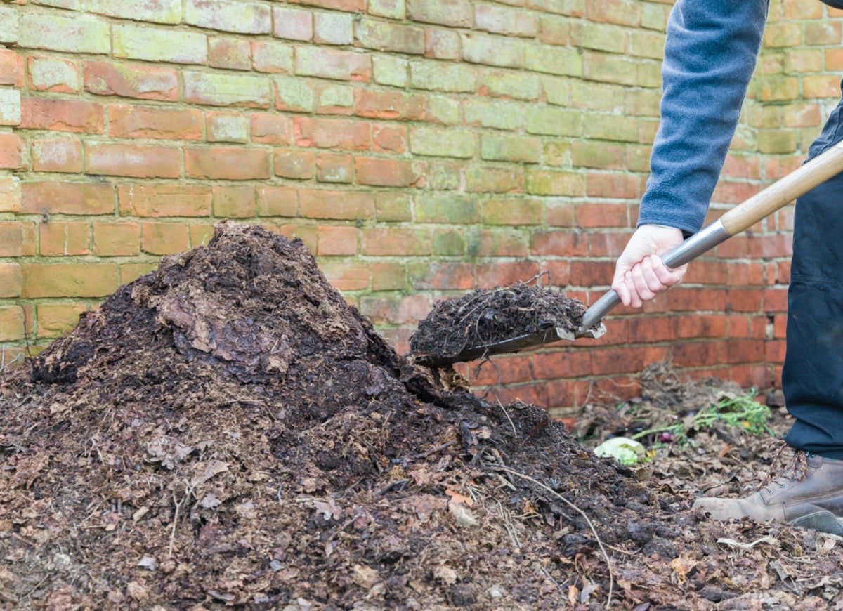 8 astuces pour composter rapidement et obtenir de l'engrais gratuit