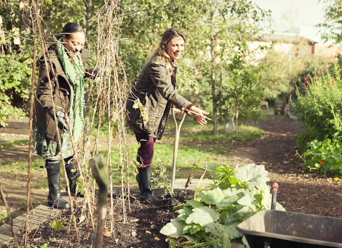 15 Things to Do in the Yard Before the First Frost