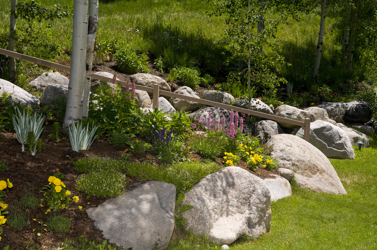 De gros blocs de pierre ont été utilisés comme aménagement paysager pour encadrer un jardin de trembles et de fleurs sauvages.