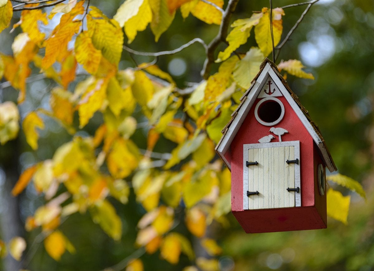 25 Ways to Beautify Your Yard Without Planting a Thing