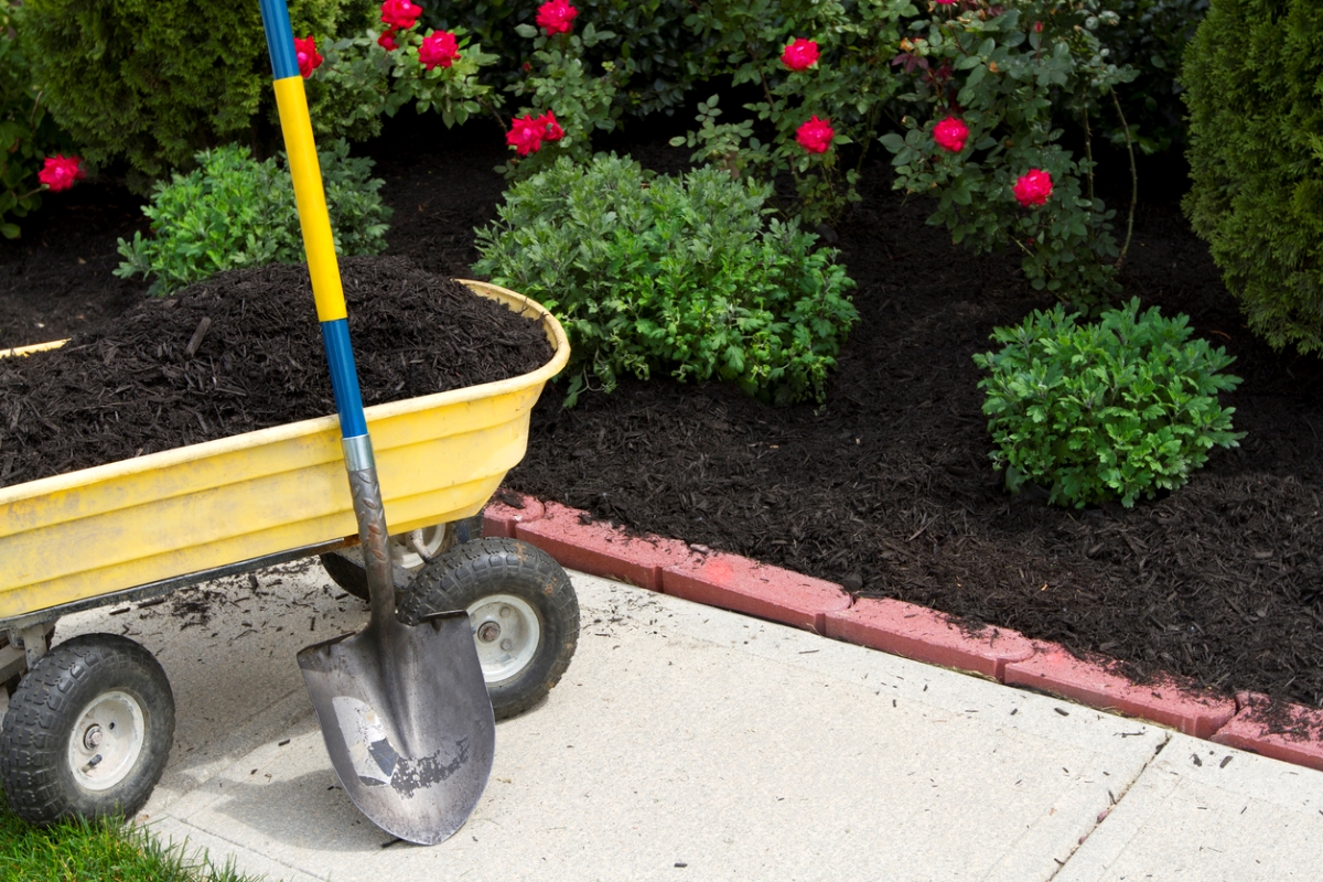 Shovel against wheelbarrow full of mulch