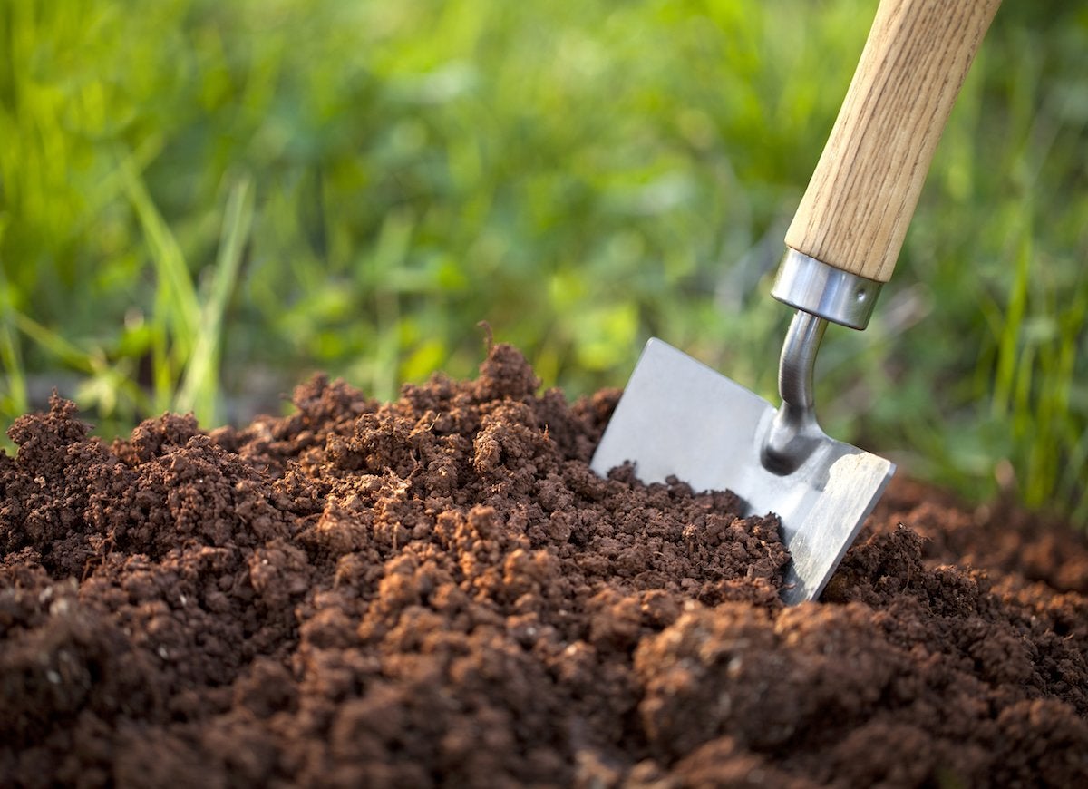 8 choses à savoir avant de mettre les pieds dans un magasin de plantes