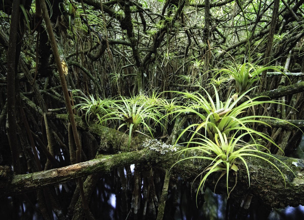 20 Places You Need to See If You Love Plants