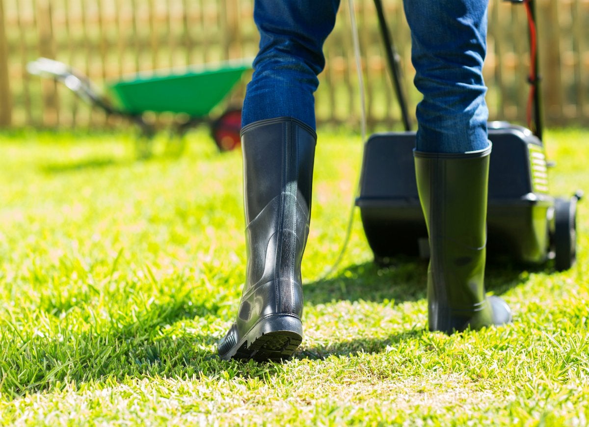 11 Ways You’re Accidentally Ruining Your Lawn