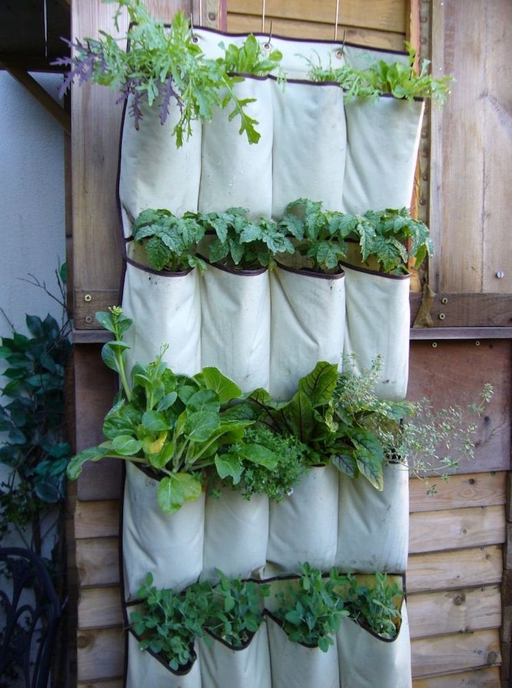 Growing Up: 14 Inventive DIY Vertical Gardens