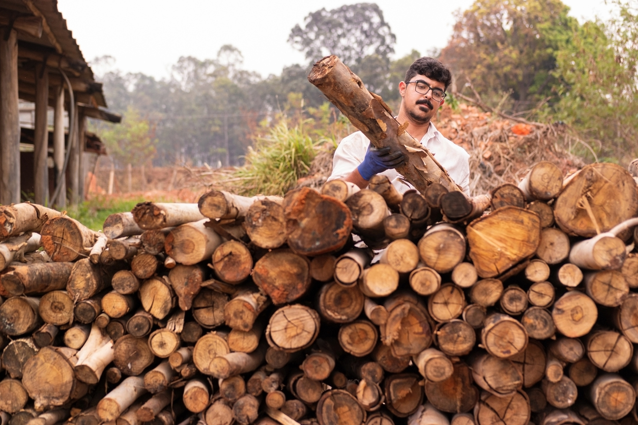 Safely transporting firewood