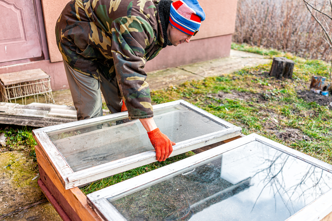 cold frame