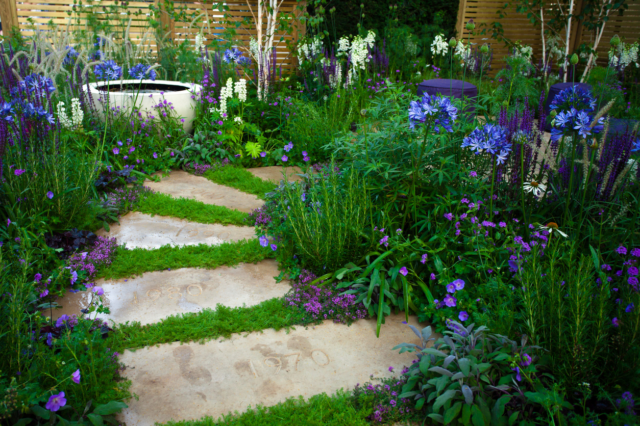 Allée de jardin bordée de couvre-sol