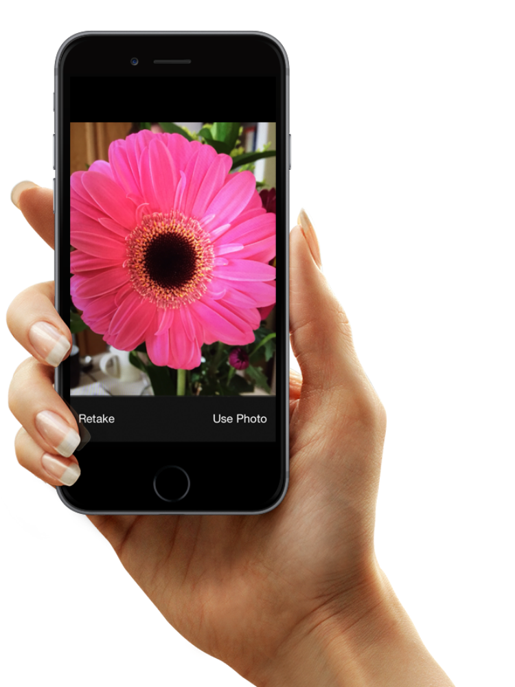 The Best Gardening and Plant Identification Apps for Your Smartphone