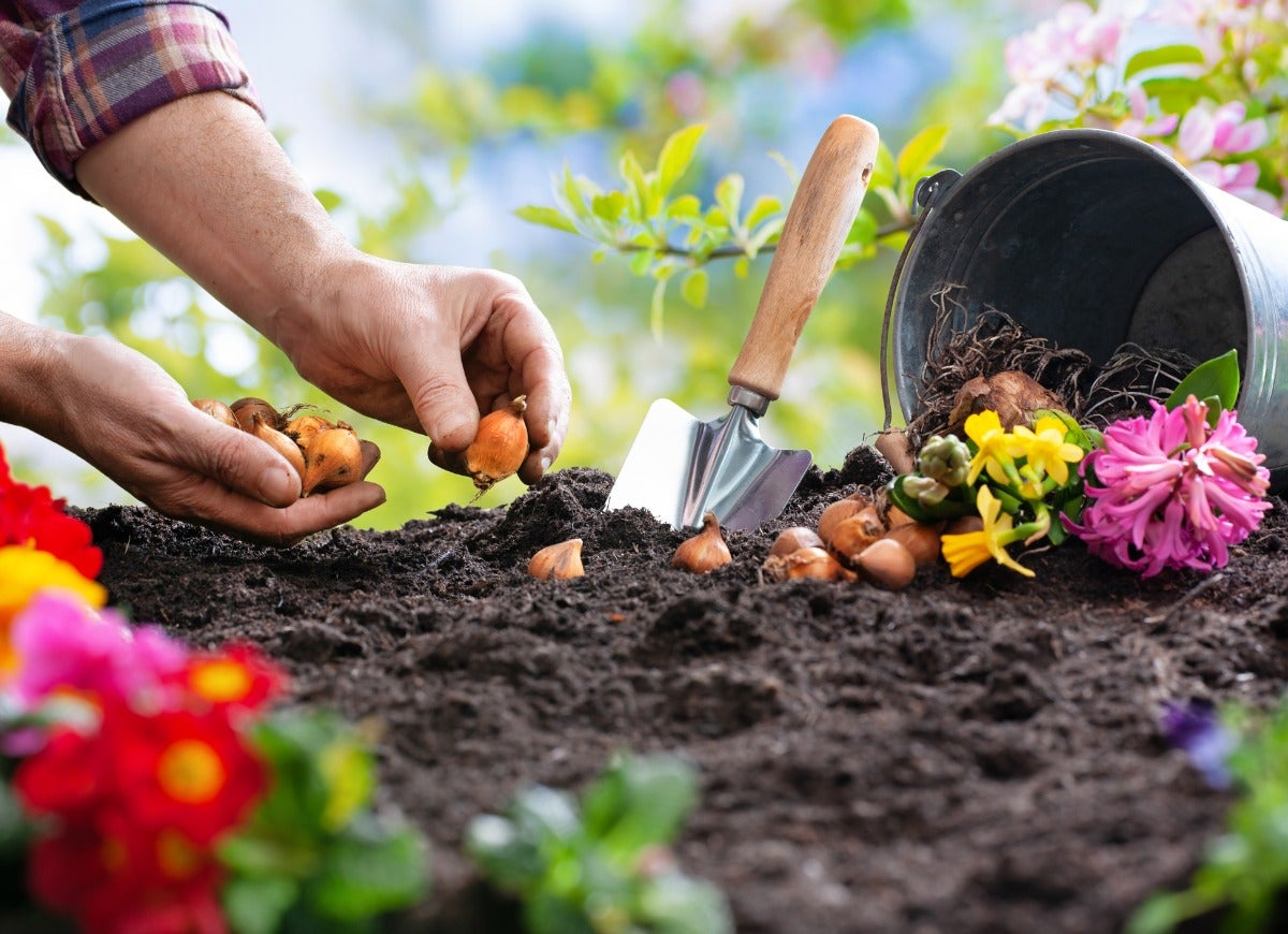 15 Things to Do in the Yard Before the First Frost