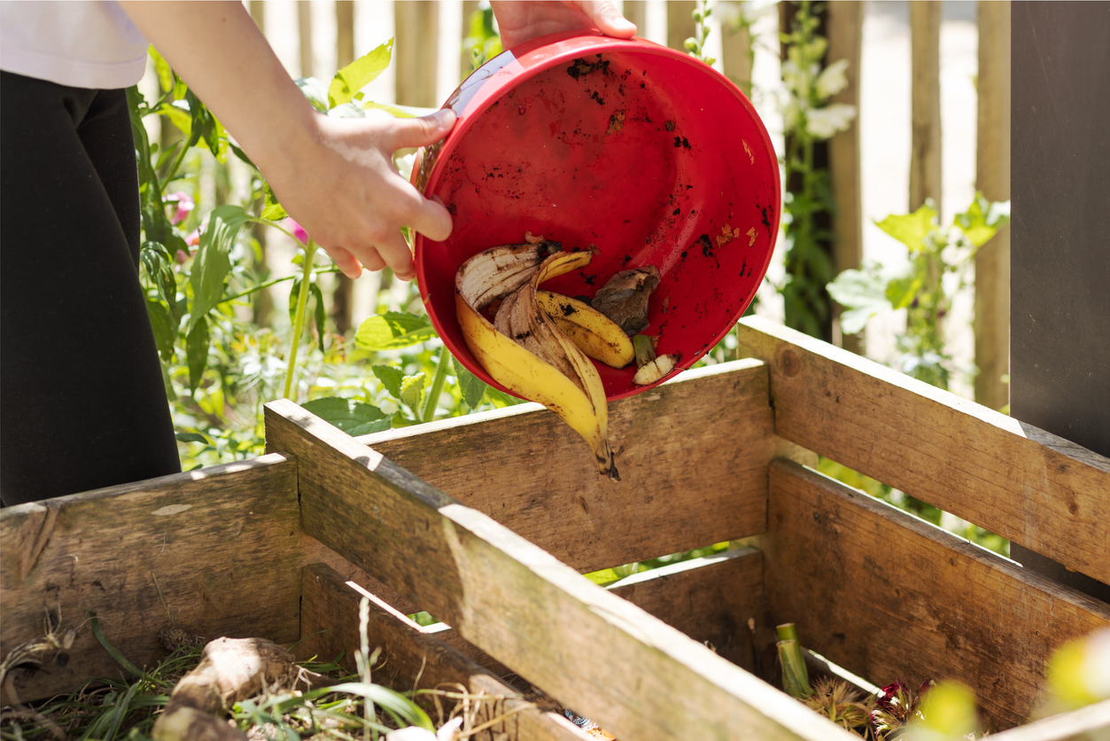 Compost Organic Waste throwing in Compost Bin. Recycling Eco Fertilizer, Sorting Waste, Bio Humus in Compost box.