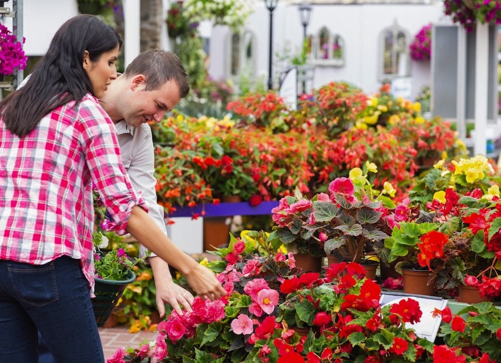 Don’t Make These 8 Mistakes in Your Front Yard