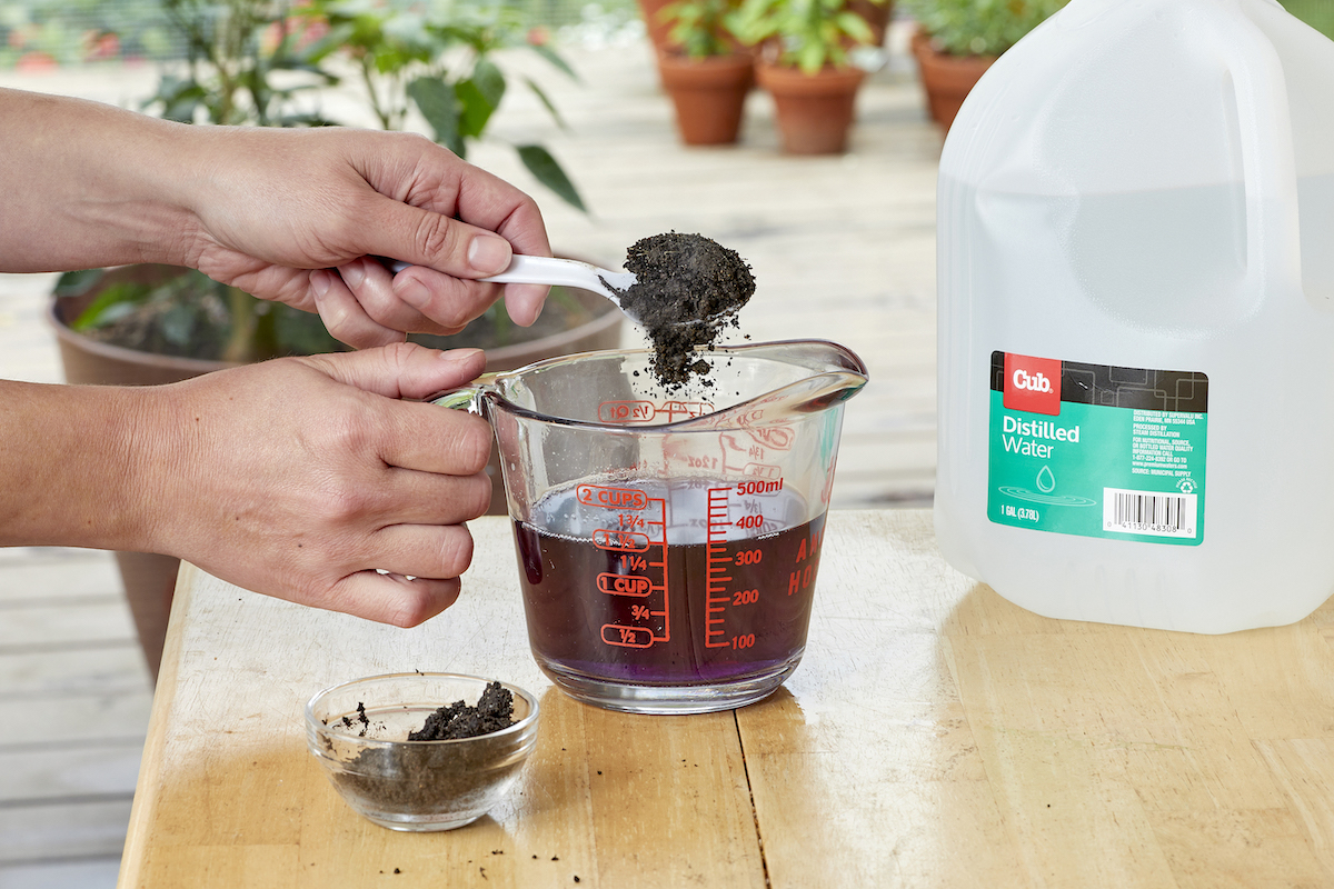 Woman adds soil to a measuring cup filled with purple water, with distilled water jug in the background.