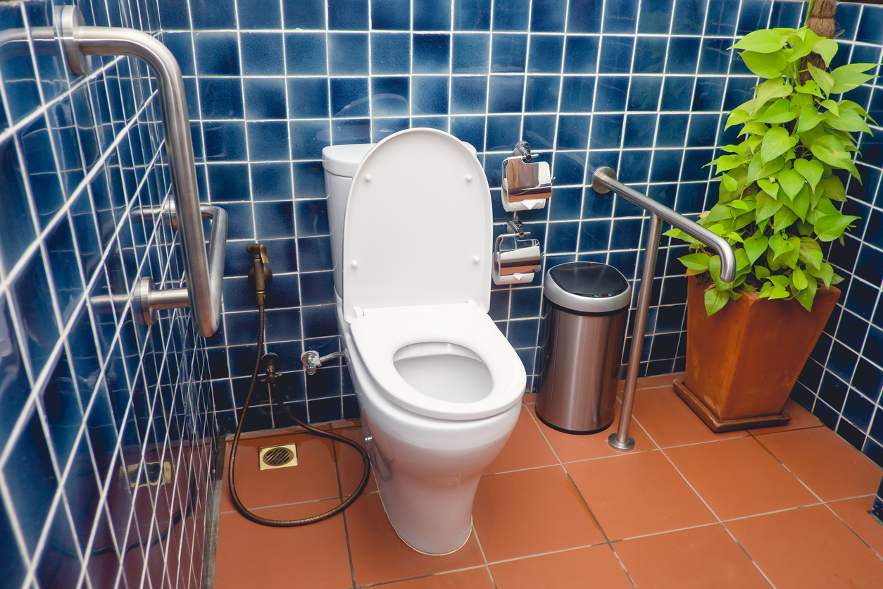 A close up of grab bars around a toilet in a blue tiled bathroom.