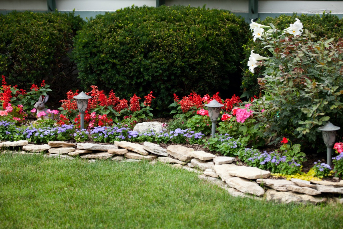 A backyard with colorful and stone-lined flower beds.