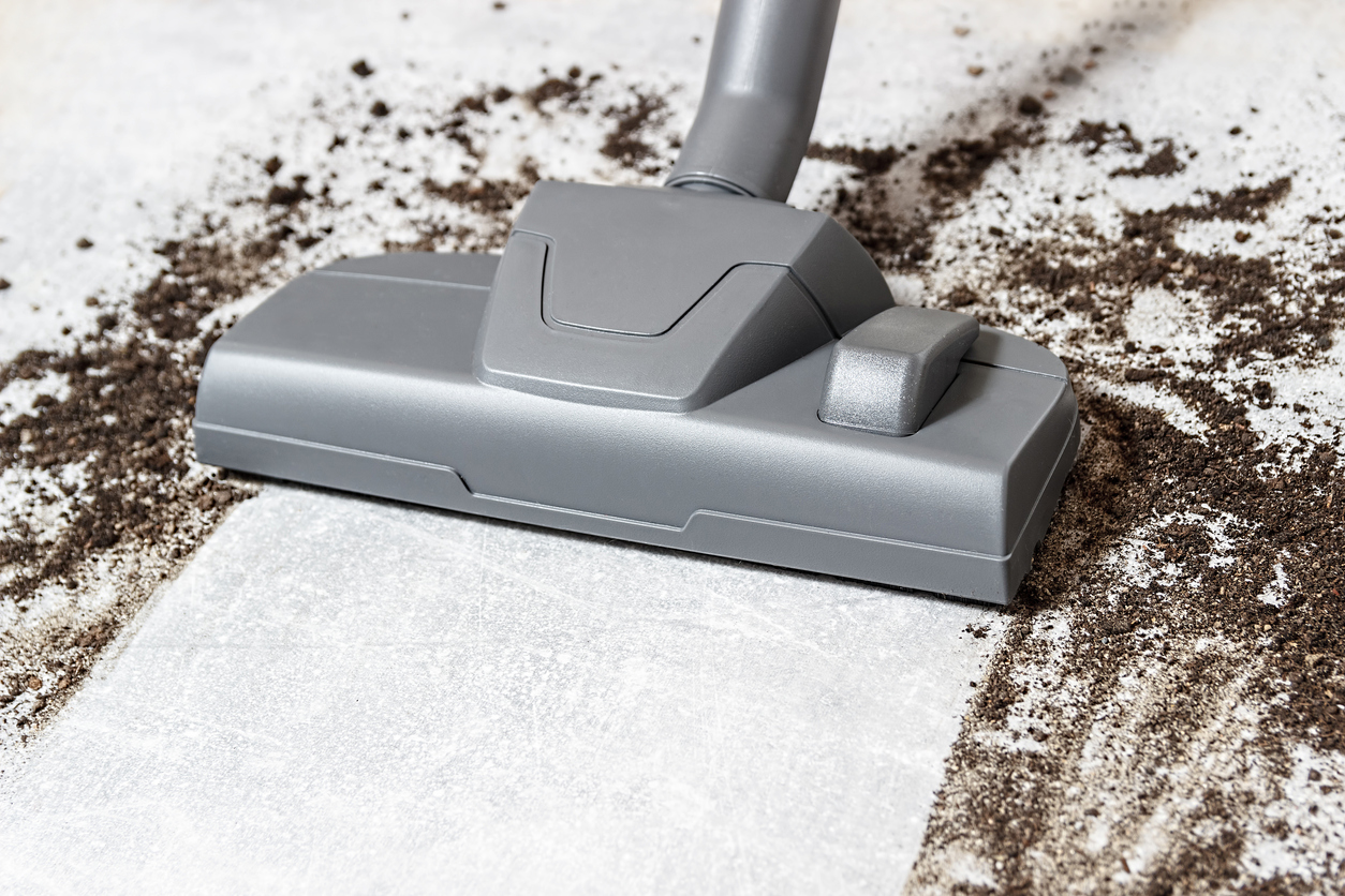 iStock-1070514678 dirty paw tricks vacuuming dried mud