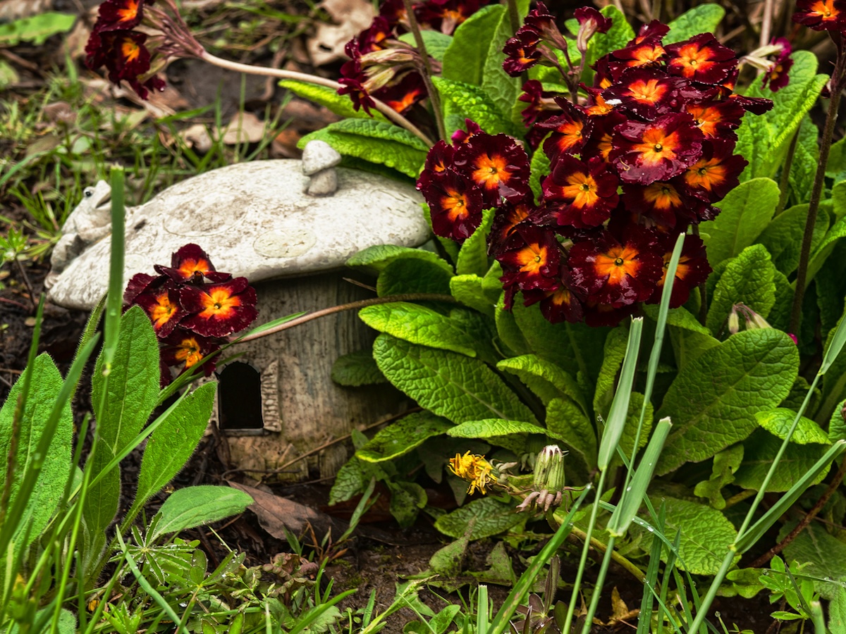 A small toad house in a suburban yard.