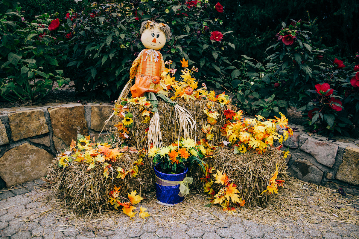 decorative straw bales with straw scarecrow