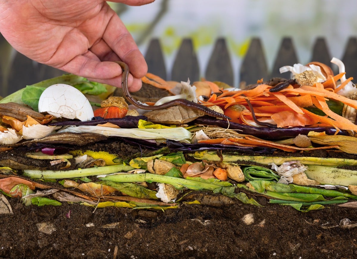 10 Ways Your Backyard Garden Can Combat Climate Change