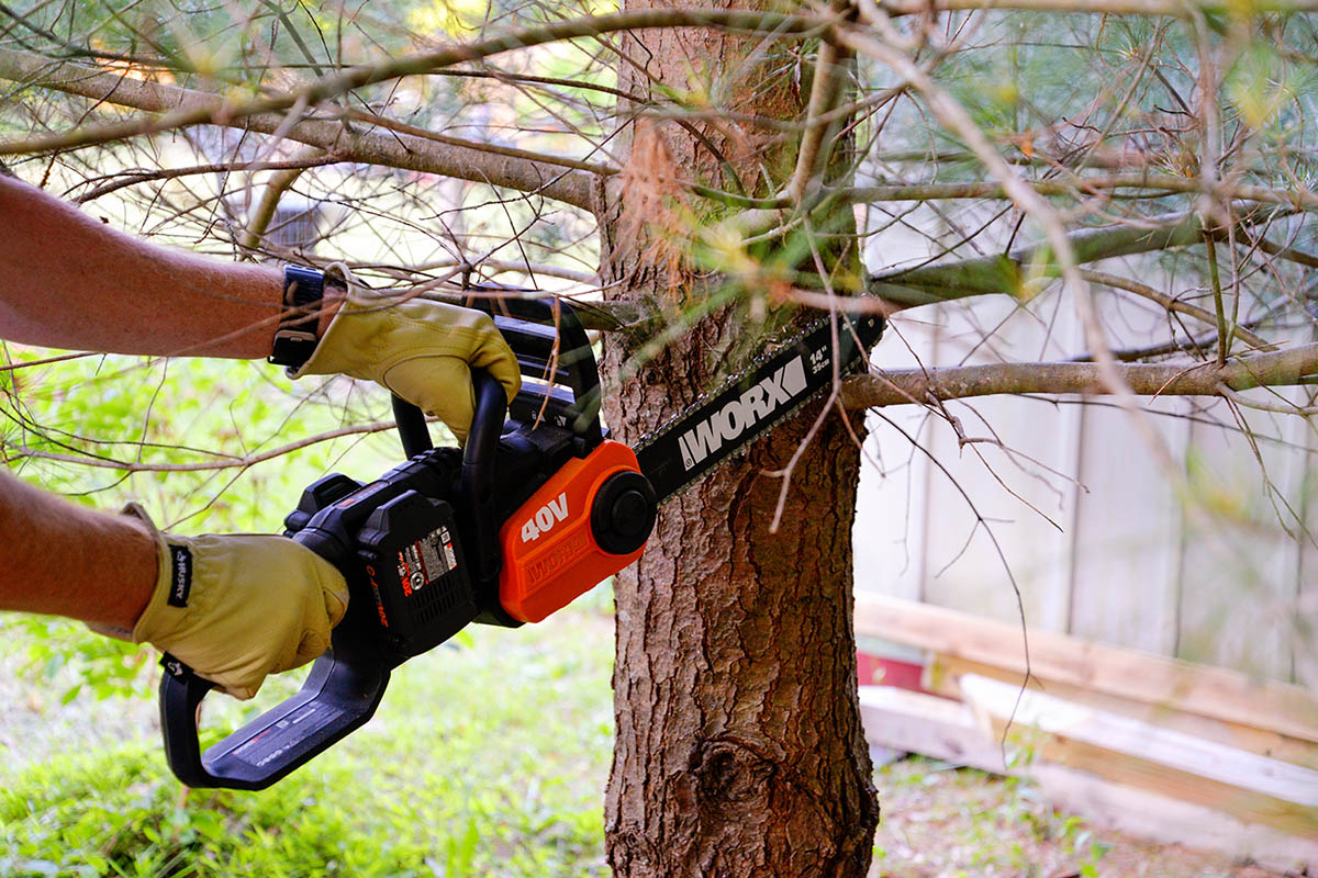 Someone using a chainsaw to remove a branch from a tree