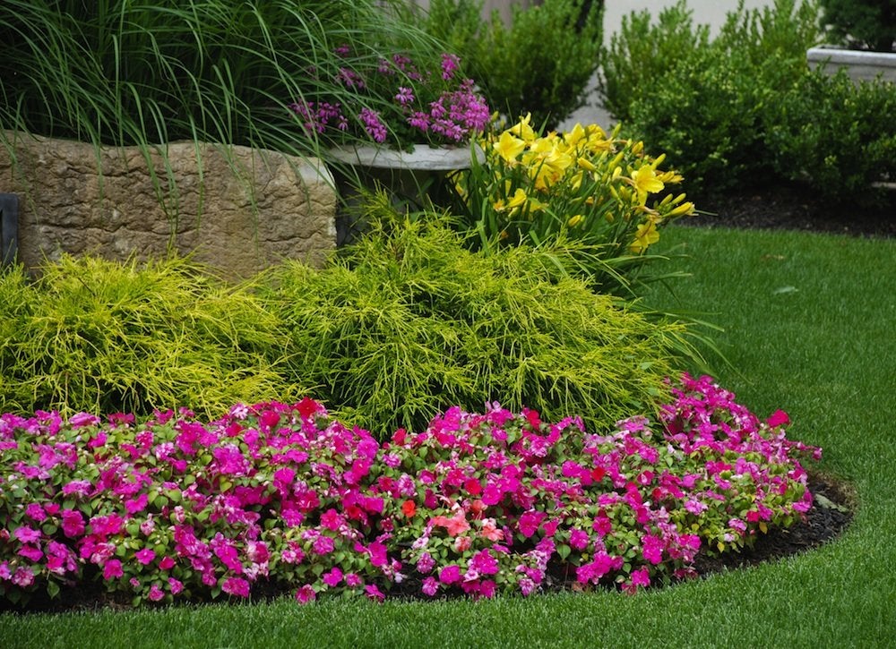 Don’t Make These 8 Mistakes in Your Front Yard