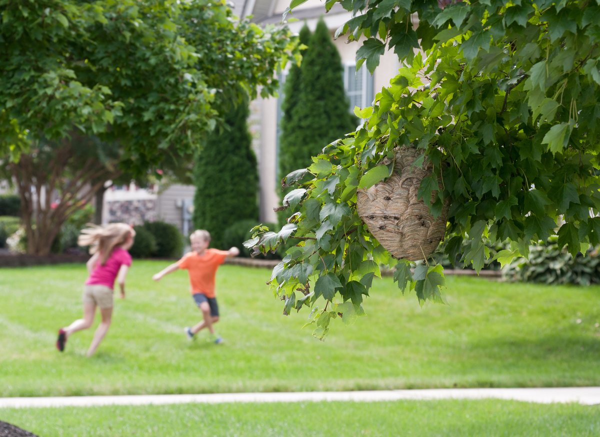 14 Ways to Childproof Your Garden