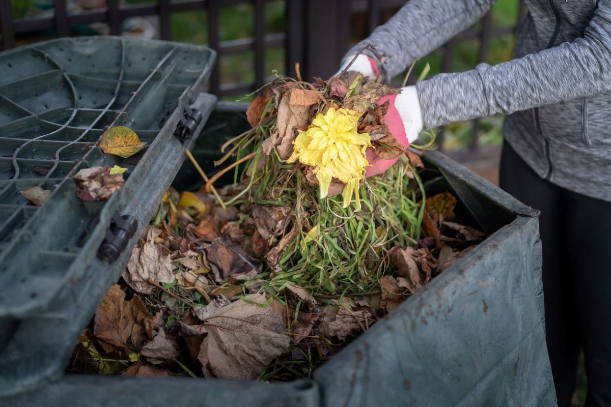 5 Things to Do With Weeds After You Pull Them