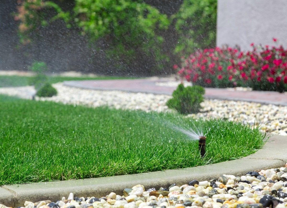 11 Ways You’re Accidentally Ruining Your Lawn