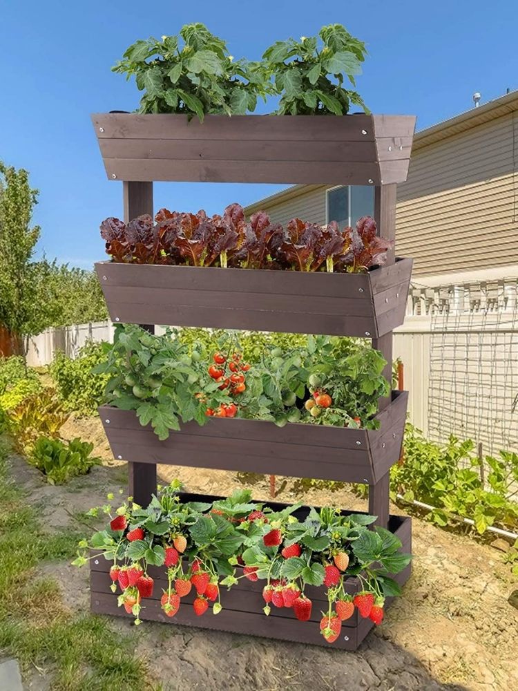 13 Ideas for a Vegetable Garden With Serious Curb Appeal