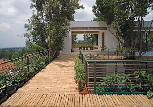 bamboo walkway