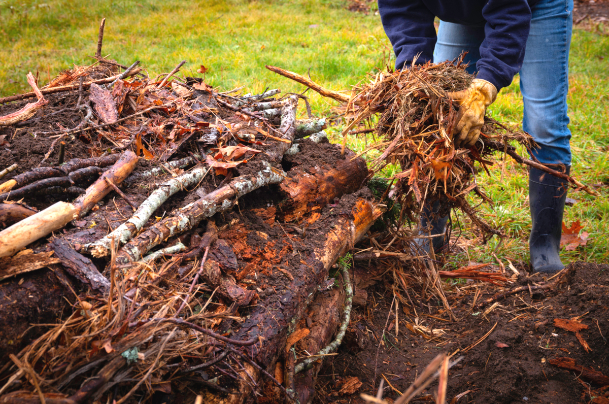 A home gardener adds twigs to a hugelkultur mound.