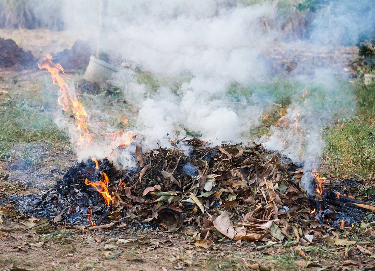 The Do’s and Don’ts of Cleaning Up Leaves