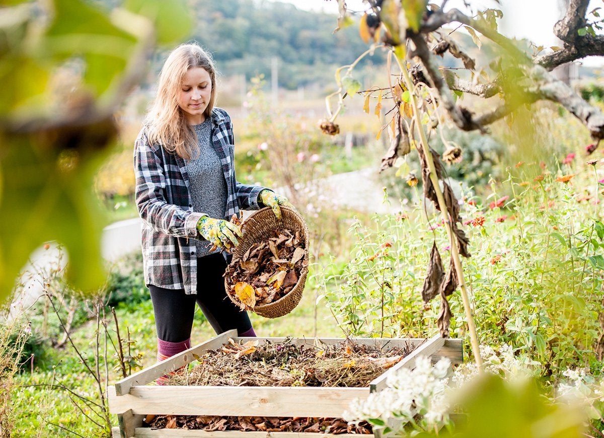 The Do’s and Don’ts of Cleaning Up Leaves